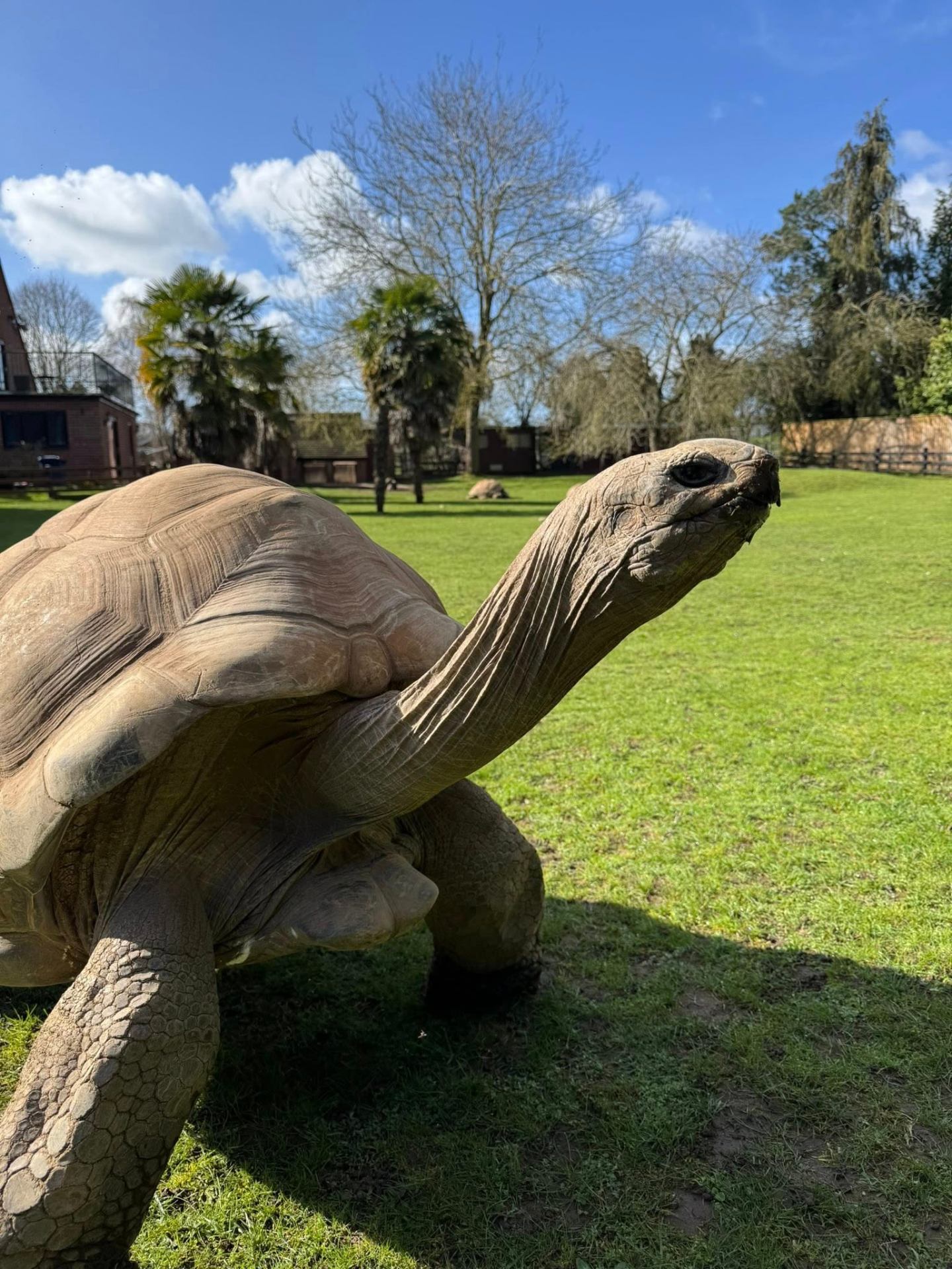 Love Your Zoo Week 2026: Celebrating the Staff Behind the Animals